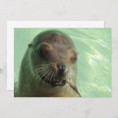 Zegel met visuitnodiging kaart (Voorkant / Achterkant)