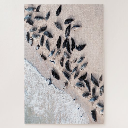 Zegel op de kust, Jigzaag Puzzle Legpuzzel (Verticaal)