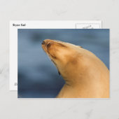 Zegel op het strand briefkaart (Voorkant / Achterkant)