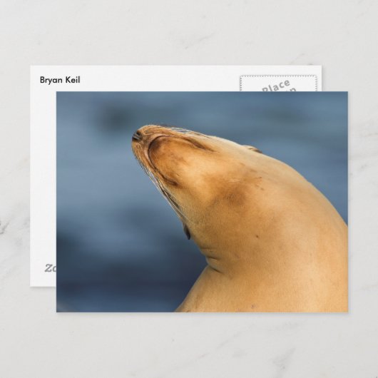 Zegel op het strand briefkaart (Voorkant / Achterkant)