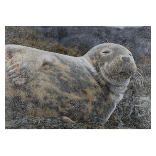 Zegel Snijplank (Voorkant)