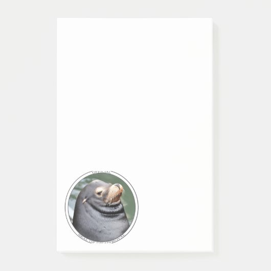 Zegel van Afkeuring 4x6 Notities Post-it® Notes (Voorkant)