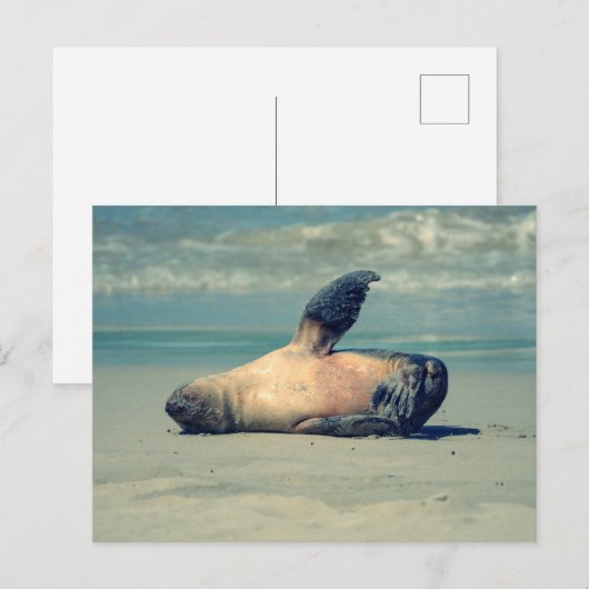 zegelgolf briefkaart (Voorkant / Achterkant)