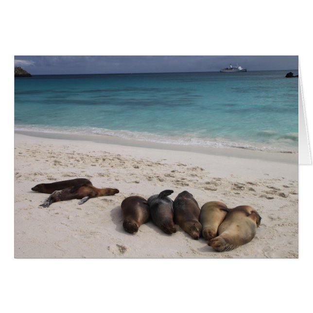 zegelkaart (Voorkant Horizontaal)