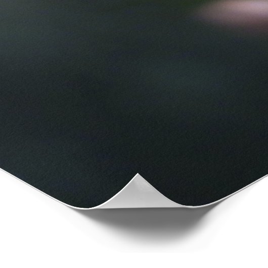 Zegen mijn kind poster (Hoek)