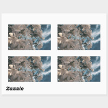 Zegen Stickers