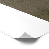 Zegfeld Girl Poster (Hoek)