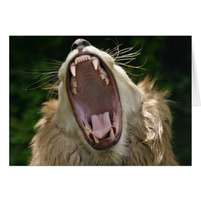 zeggen ahhh (Voorkant Horizontaal)