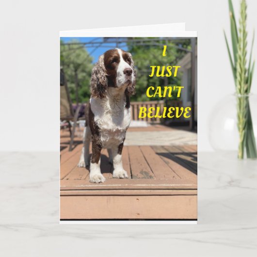 ZEGGEN DE VREEMDE HONDEN HAPPY 50th BIRTHDAY! Kaar Kaart (Voorkant)