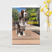 ZEGGEN DE VREEMDE HONDEN HAPPY 50th BIRTHDAY! Kaar Kaart (Gele Bloem)