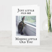 * * * ZEGGEN OVER DE MELDING * * TURTLE GEWELDIG KAART (Voorkant)