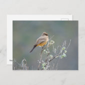 Zeg's Phoebe Briefkaart (Voorkant / Achterkant)