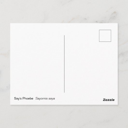 Zeg's Phoebe Briefkaart (Achterkant)