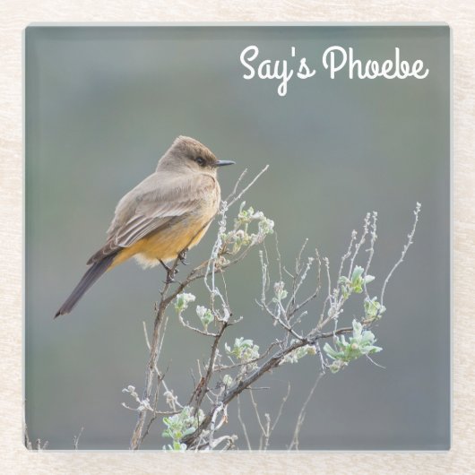 Zeg's Phoebe Glazen Onderzetter (Voorkant)