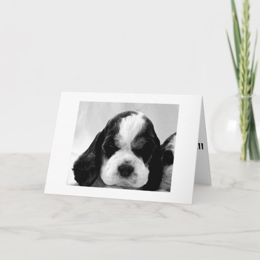 ZEGT PUPPY: "ZEG HET NIET ZO OVER DE HILL?" KAART (Voorkant)