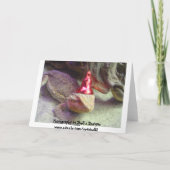 Zei iemand partij? kaart (Achterkant)