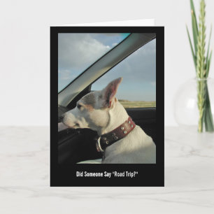 Zei iemand "Wegentrip"? Kaart