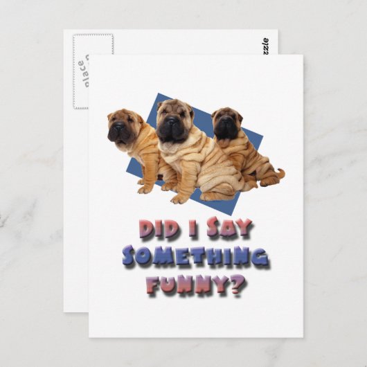 Zei ik iets grappigs? briefkaart (Voorkant / Achterkant)