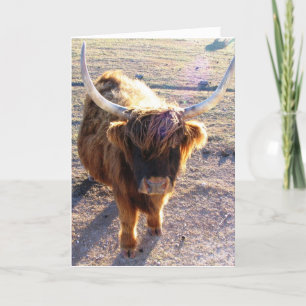 Zei je Bad Hair Day? Kaart