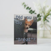 "Zei je 'behandelen'?" Corgi-kaart Briefkaart (Staand voorkant)