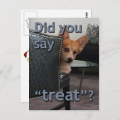 "Zei je 'behandelen'?" Corgi-kaart Briefkaart (Voorkant / Achterkant)