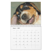 Zei je konijn? Beagle Calendar Kalender (Mar 2027)