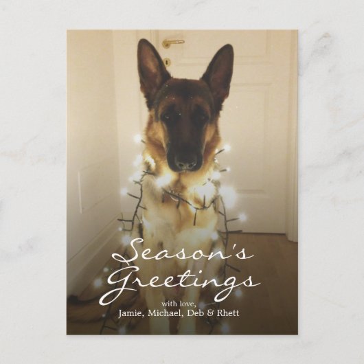 Zei je Santa Paws? Feestdagenkaart (Voorkant)