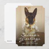 Zei je Santa Paws? Feestdagenkaart (Voorkant / Achterkant)