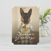 Zei je Santa Paws? Feestdagenkaart (Staand voorkant)