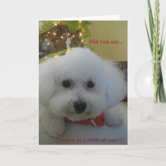 "Zei u ik GOED moest zijn al jaar? " Feestdagen Kaart (Voorkant)