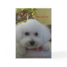 "Zei u ik GOED moest zijn al jaar? "