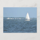 Zeilboot Foto Briefkaart (Voorkant)