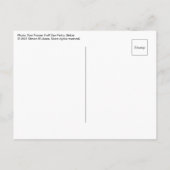 Zeilboot in Belize Briefkaart (Achterkant)