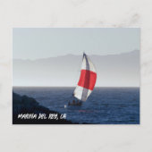 Zeilboot - Marina Del Rey, CA Briefkaart (Voorkant)