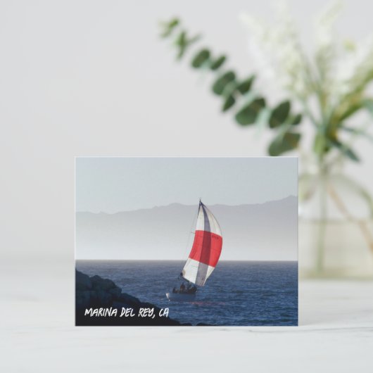 Zeilboot - Marina Del Rey, CA Briefkaart (Staand voorkant)