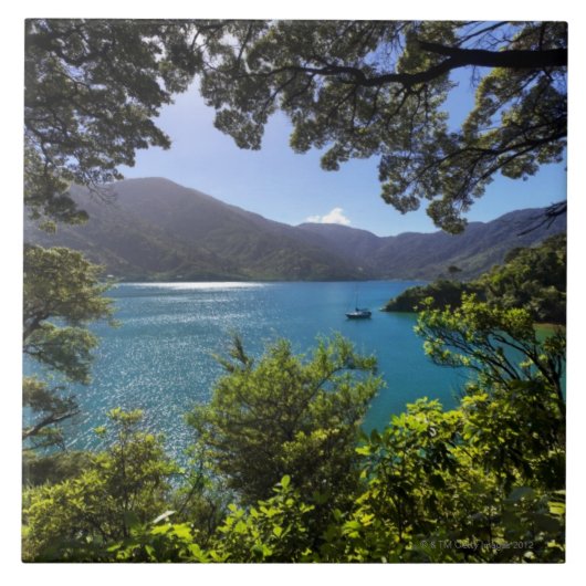 zeilboot op afstand tegeltje (Voorkant)