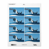 Zeilboot op het vliegwiel etiket (Full Sheet)