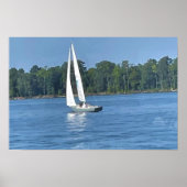 Zeilboot Poster (Voorkant)