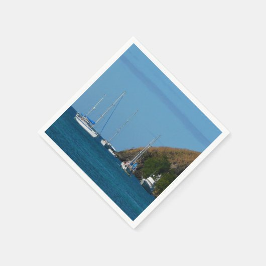 Zeilboten in de witte en blauwe zee servetten (Hoek)