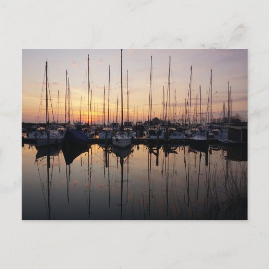 Zeilboten in haven met tegenlicht. briefkaart (Voorkant)