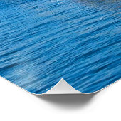 Zeilboten op Matanzas Bay St. Augustine Florida Perfect Poster (Hoek)