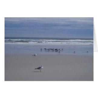 Zeilen bij de parade