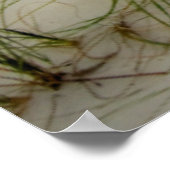 Zeilen bij zonsopgang poster (Hoek)