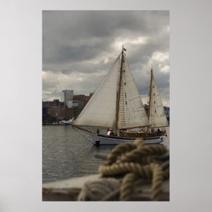 Zeilen in de haven Print