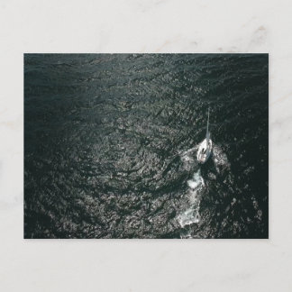 Zeilen in de Stille Oceaan Briefkaart