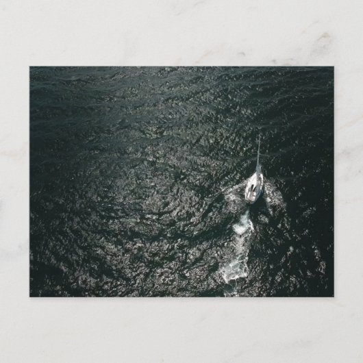 Zeilen in de Stille Oceaan Briefkaart (Voorkant)