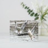 Zeilen in de vlucht briefkaart (Staand voorkant)