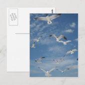 Zeilen in de vlucht briefkaart (Voorkant / Achterkant)