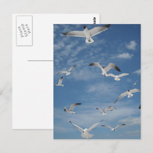 Zeilen in de vlucht briefkaart (Voorkant / Achterkant)