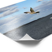 Zeilen in de vlucht foto afdruk (Hoek)